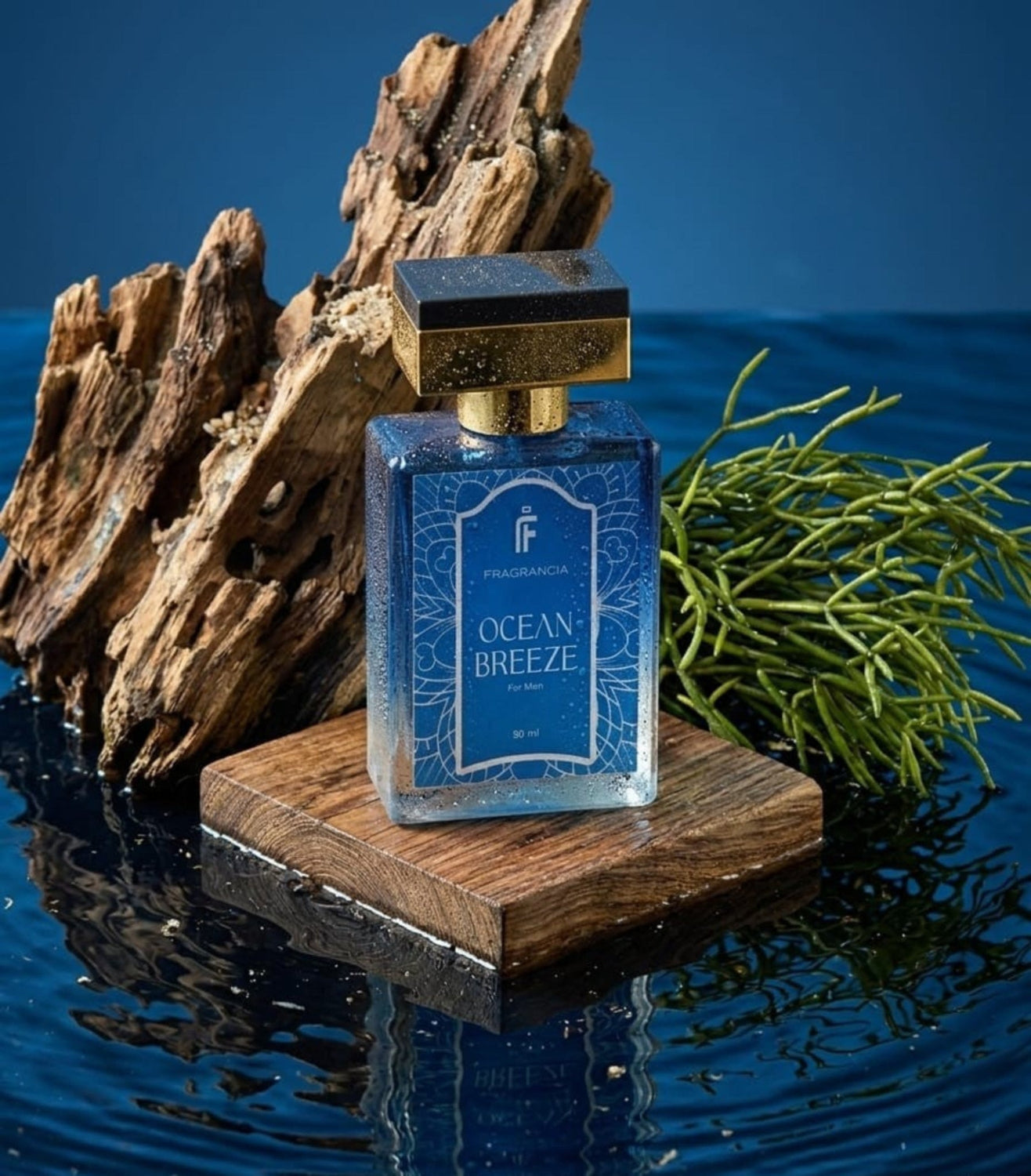 Ocean Breeze